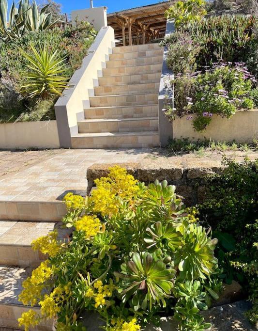 Charmante Petite Maison Magnifique Vue Mer Propriano  Ngoại thất bức ảnh
